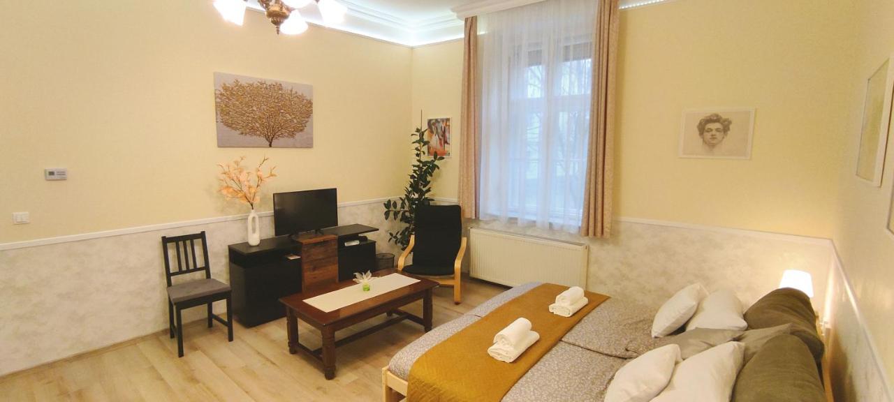 Center Apartman Szeged Ngoại thất bức ảnh